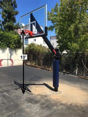 How Tall is a Basketball Hoop in the NBA? And Why Do Giraffes Never Try Out for the Team?